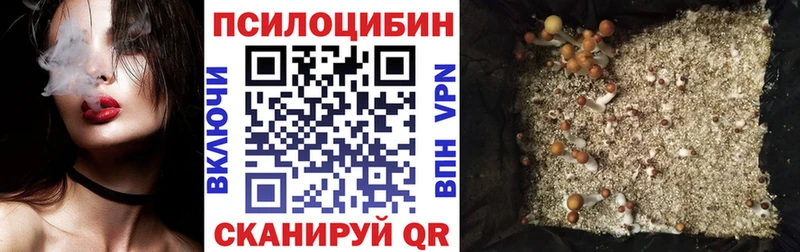 купить закладку  darknet какой сайт  Псилоцибиновые грибы мухоморы  Топки 