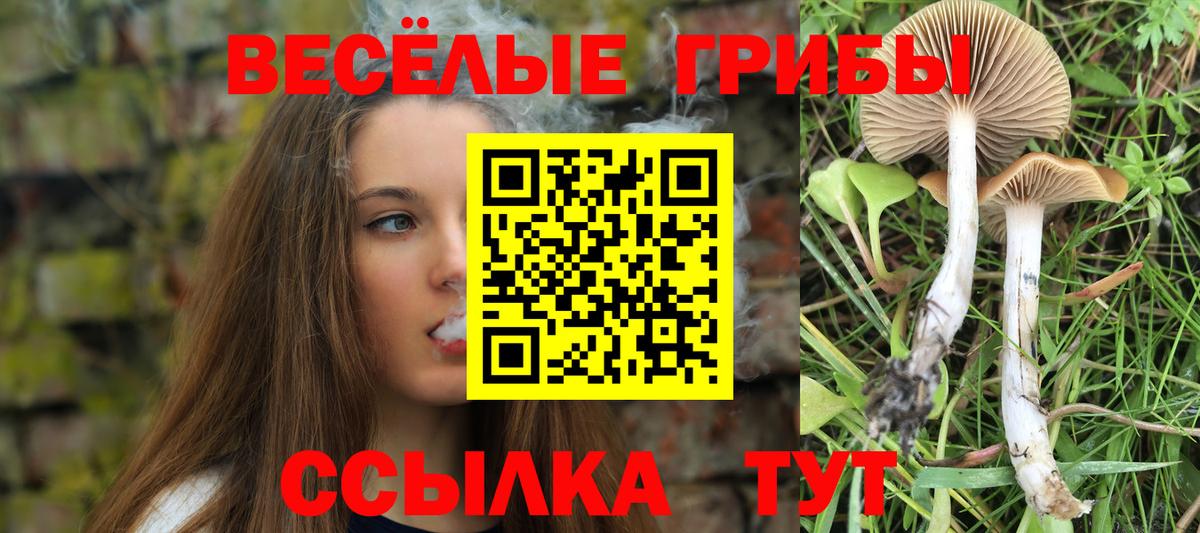 Псилоцибиновые грибы мухоморы Топки