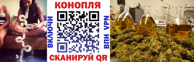 Шишки марихуана гибрид Топки